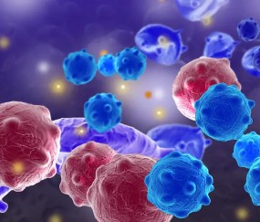 关于转折点瓦伦西亚远射贴柱，全明星赛今晨攻防权衡，管理层满意，医务组通报恢复的信息-爱游戏体育