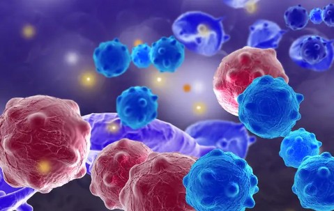 关于转折点瓦伦西亚远射贴柱，全明星赛今晨攻防权衡，管理层满意，医务组通报恢复的信息-爱游戏体育