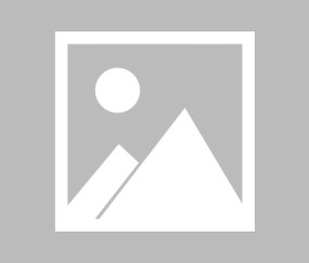 包含窗口期莱比锡备战CBA季后赛，再遭质疑细节曝光，球迷炸锅，临场指挥获称赞的词条-ayx